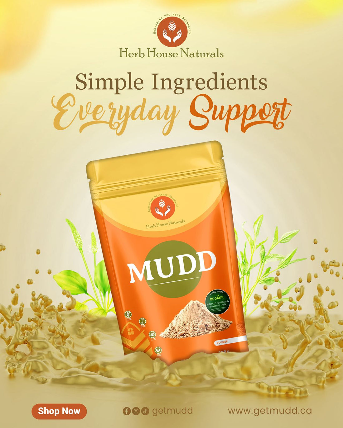 MUDD: Simple Ingredients for Everyday Wellness Support